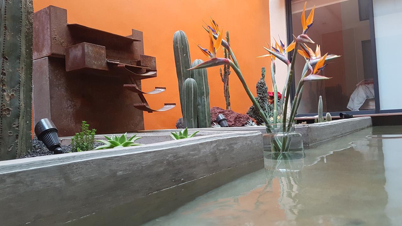 Coyoacan - Inn เม็กซิโกซิตี้ ภายนอก รูปภาพ
