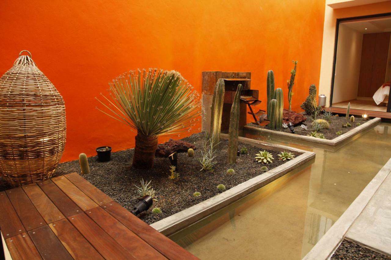 Coyoacan - Inn เม็กซิโกซิตี้ ภายนอก รูปภาพ